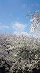 20080327130420.jpg