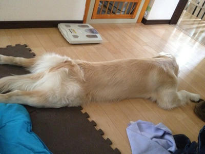 どべっ