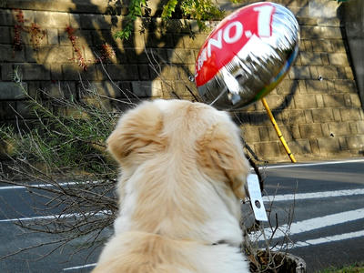 ふよふよ……ふよふよ…… ふよふよ……ふよふよ……
