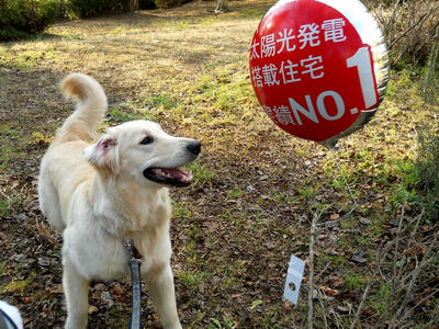 『あ～はい、わたくし、太陽光発電搭載住宅の普及活動をしております～』