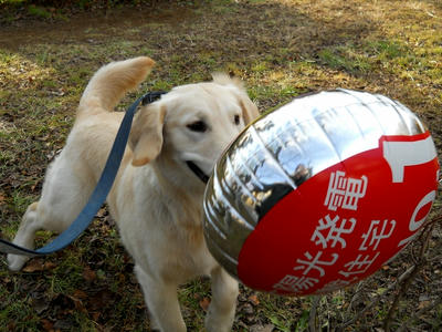 『あっいやっやめてっ、きゃ~~~っ』 『あっいやっやめてっ、きゃ~~~っ』