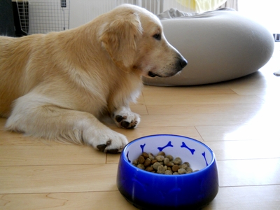「食べろって言われたって食欲ないもん」