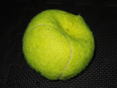 Petsport Giant Tuff Ball 献上2日目