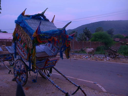 R0026891.jpg