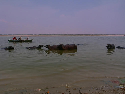 R0027239.jpg