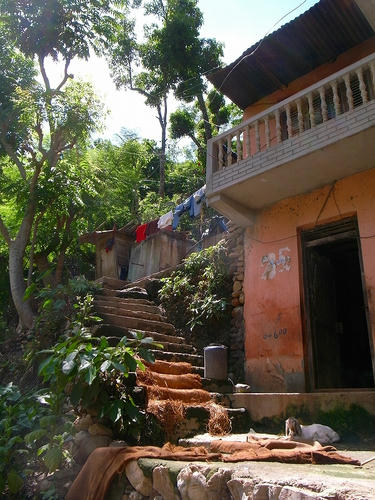 R0028482.jpg