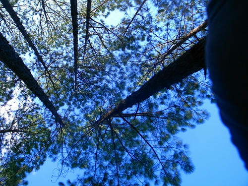 R0028560.jpg