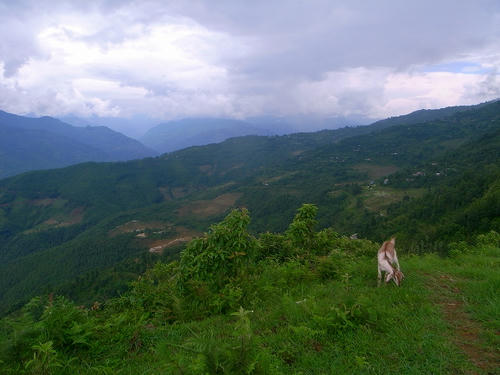 R0029171.jpg