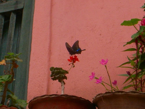 R0029007.jpg