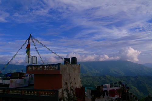 R0029220.jpg