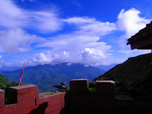 R0029453.jpg