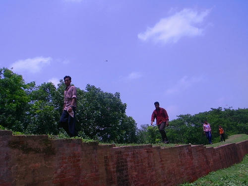 85097d2f.jpg