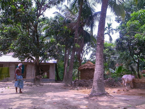 f0063ad3.jpg