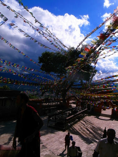 R0029951.jpg