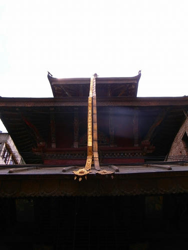 R0029813.jpg