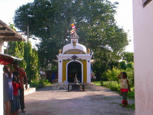 R0028694.jpg
