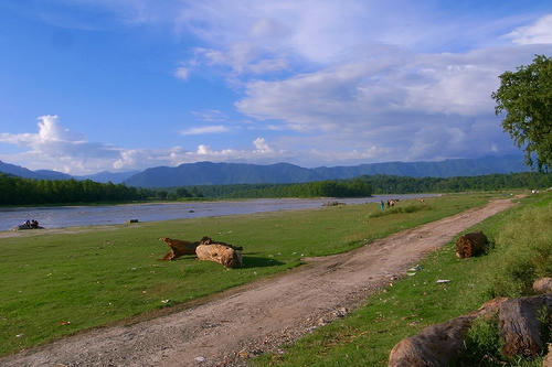 R0028687.jpg