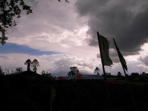 R0030812.jpg