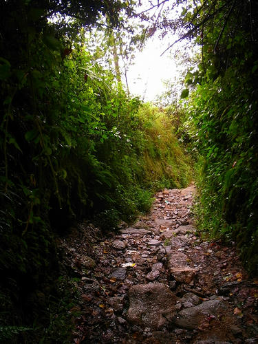 R0032603.jpg