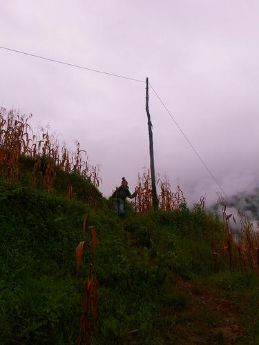 R0032904.jpg