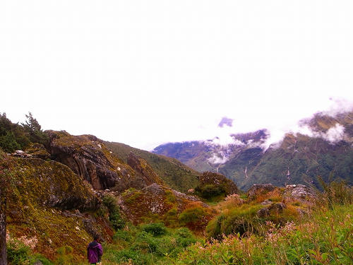 R0033034.jpg