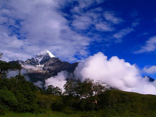 R0033129.jpg