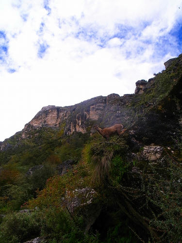 R0033191.jpg
