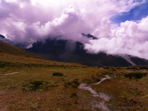 R0033333.jpg