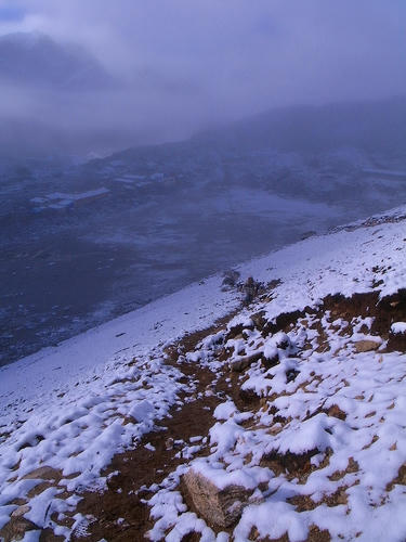 R0033445.jpg