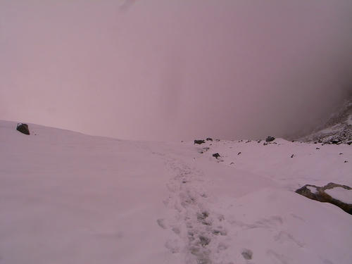 R0033515.jpg