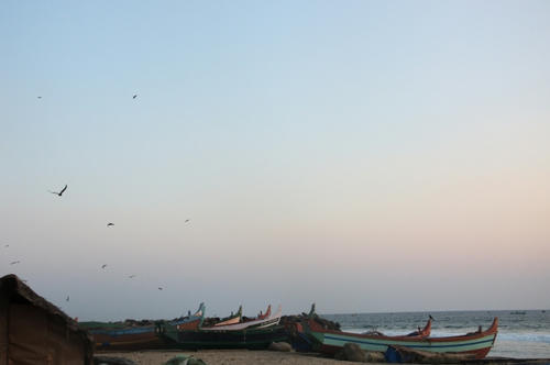 DSC_0445.jpg