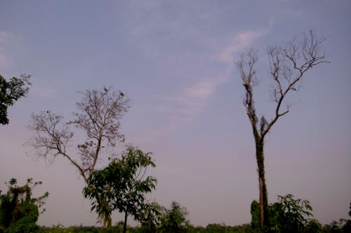 R0037037.jpg