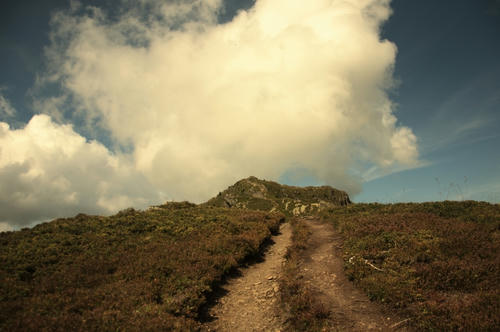 _DSC5857.jpg