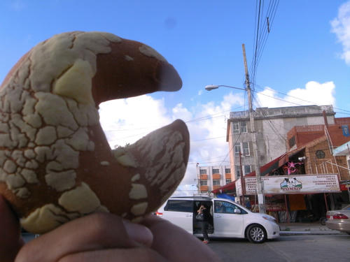R0038614.jpg