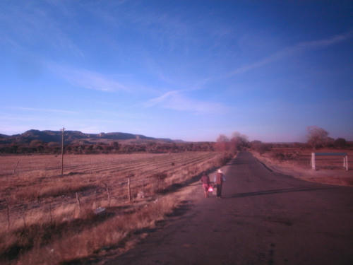 R0039271.jpg