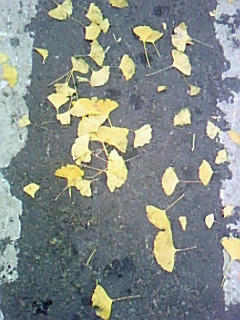 9dec96f6jpeg