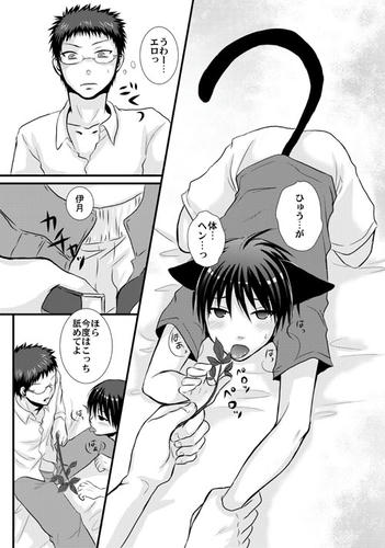 catplay0008.jpg