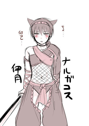 narugaiduki.jpg