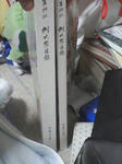 Reitaisai_Catalog.jpg