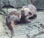 e8742489.jpg