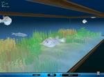 FishingOn105.jpg