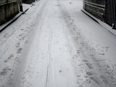 雪の道
