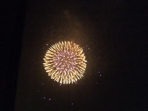 s-DSCF2365.jpg