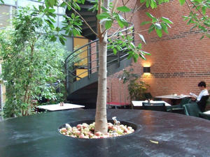 DSCF2572.jpg