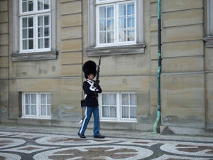 DSCF2638.jpg