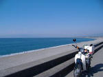 駿河湾と、Ｚｉｇｇｙ。