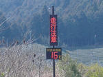 ぬくすぎて、危険。