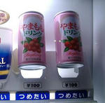 やまももドリンク、大人買い。