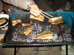 蒲焼きたいむ。