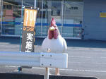 こけっこう。